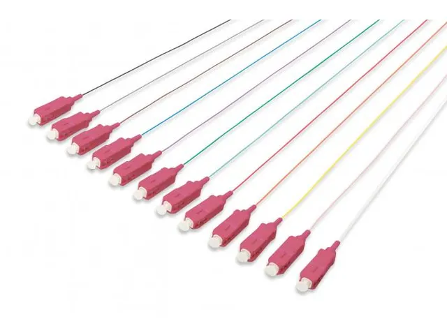 Glasvezel pigtailset 12x SC MM OM4 50/125 µ losse buffer 2m DIN IEC 3