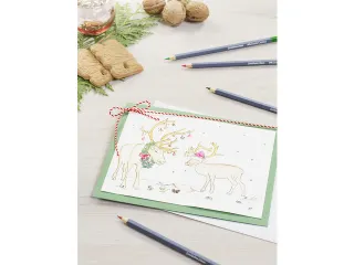 Aquarelpotlood Goldfaber studiobox á 38+3 stuks - 7