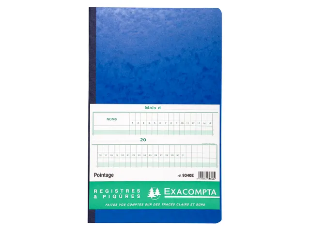 Piqûre 40x24cm - Pointage 46 lignes 80 pages - Couleurs assorties