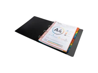Tabbladen karton 220g 12-delig A4 maxi Assorti - 2