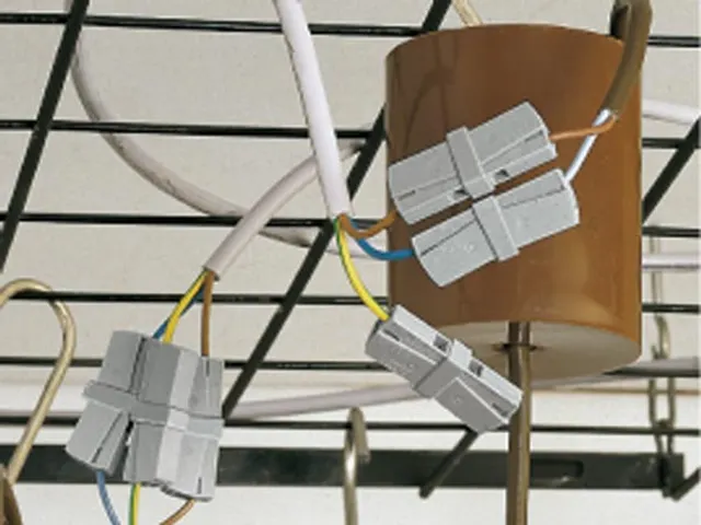 Netaansluitklem - 1 Ingang - Zwart