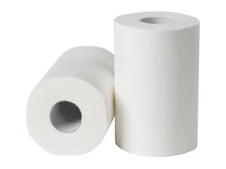 Poetsrol mini cellulose 2laags 19cm 12 rol 72m FSC - 2