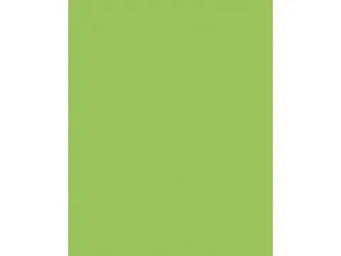 Etalagekarton Folia 48x68 cm 400gr Nr 941 Fluor Groen