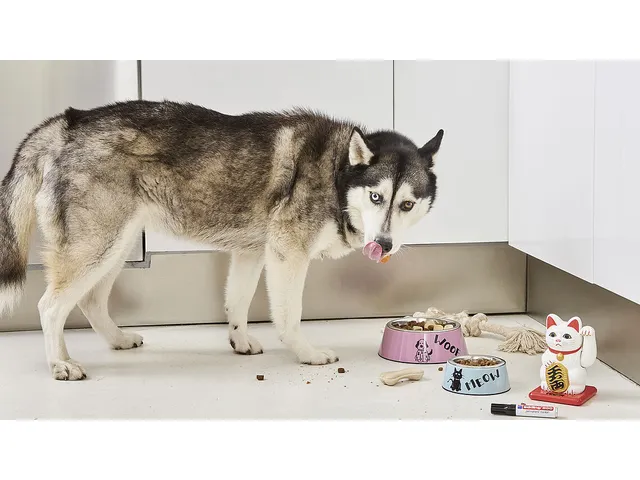 Viltstift edding 500 schuin zwart 2-7mm