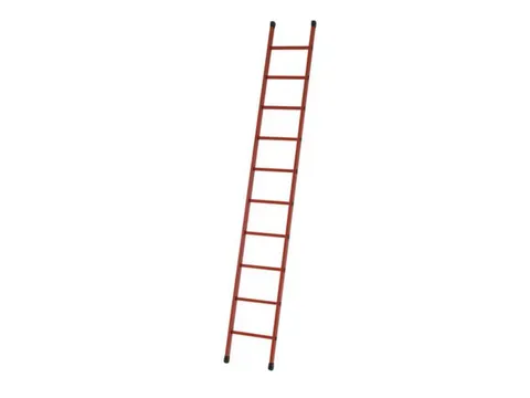 Aanlegladder Bomen/sporten Glasvezel L 2 99M 10Sporten