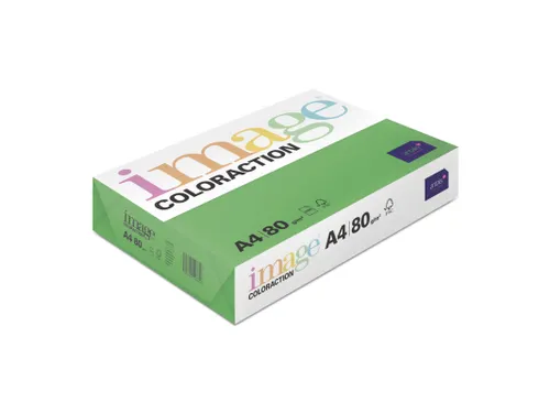 Kopieerpapier Dublin Donkergroen A4 80 Gram 500 Vel