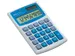 Rekenmachine Ibico 082X