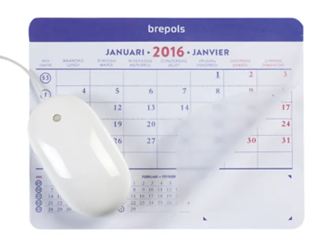 muismatkalender ft 23X18 cm nl-fr 2026