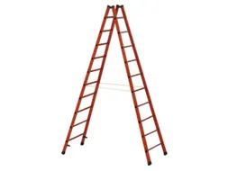 Ladder Met Sporten Bomen/sporten Glasvezel Boom L 3 00M 2X10Sporten