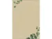 Papier avec motif Sigel Ecucalyptus A4 motif double-face papier herbe