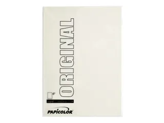 Kopieerpapier Papicolor A4 100gr 12 vel anjerwit - 2