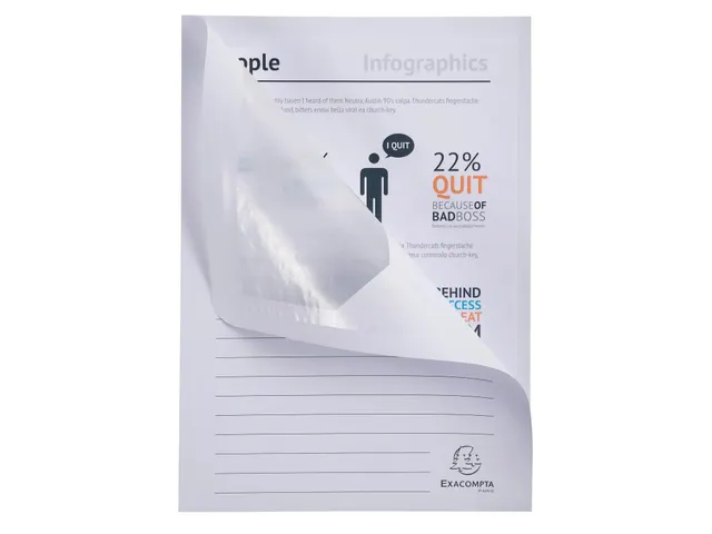 50 Venstermappen Forever 22x31cm Assorti