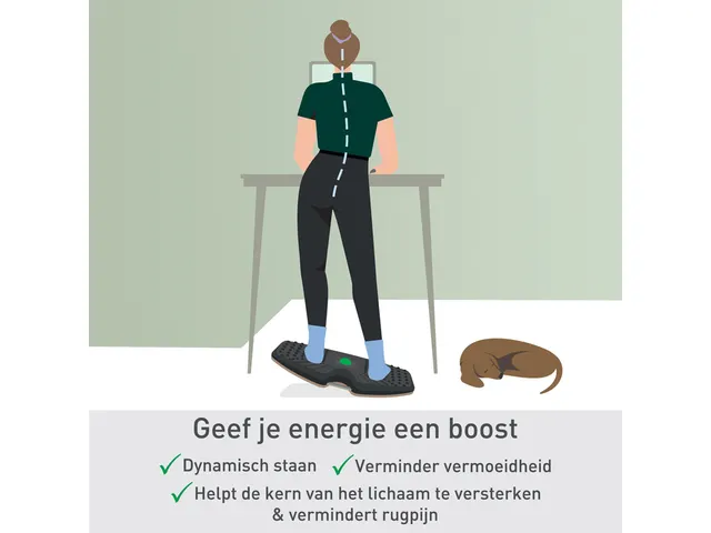 Balansbord Leitz ergo actief 540x65x310mm zwart