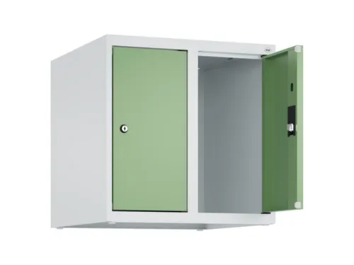 opzetkast,v. locker,2vak.,vak B 250mm,HxBxD 500x500x500mm,vleugeldeur
