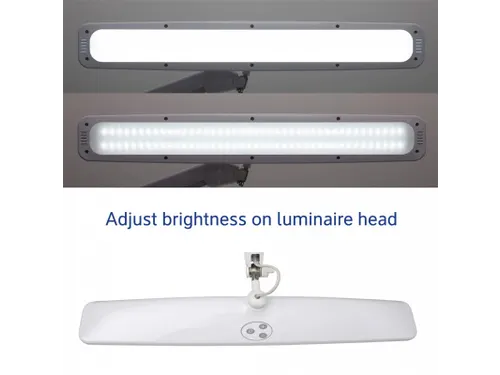 Werkpleklamp LED MAULexplore dimbaar Wit met tafelklem