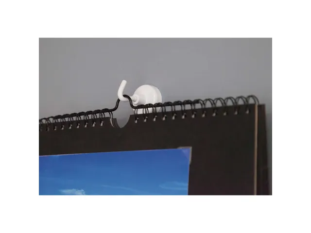 Magneet met haak MAUL 25mm trekkracht 3kg wit 5 stuks