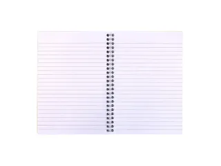 Notitieboek Pukka Jotta A5 lijn 55vel/110pagina's 80 gram groen - 3