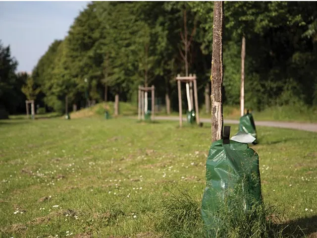 Boombewateringszak 75 Liter 420g/m²