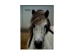 Agenda 2020 Lannoo My favourite friends horse blauw