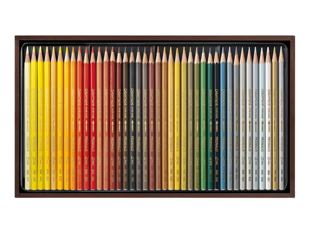 Kleurpotloden Caran d'Ache Prismalo 80stuks houten doos ass