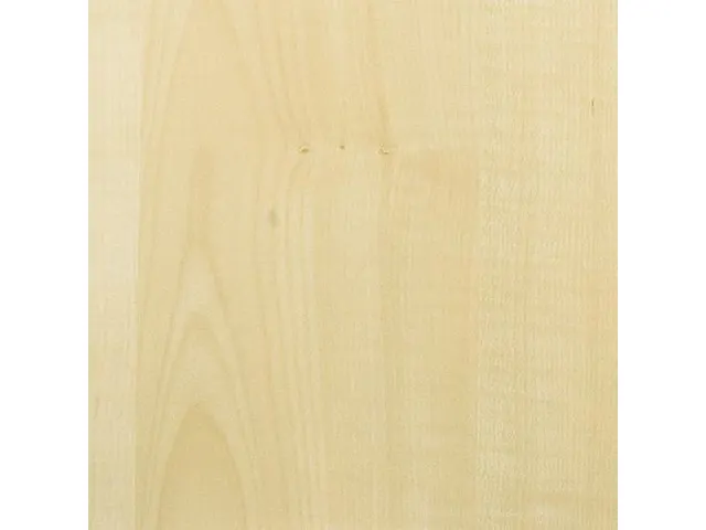 vergadertafel,HxØ 720x900mm,rond,schotelvoet RAL9006,blad esdoorn
