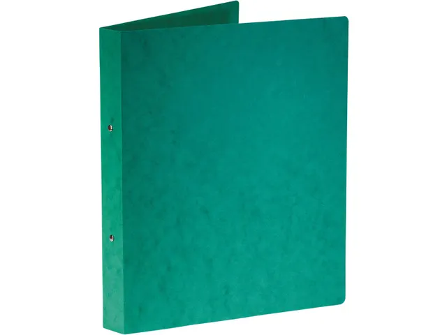 ringmap A4 uit glanskarton 2 ringen 25 mm groen