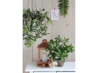 Kunstplant Mica Syngonium groen in pot 35x25cm - 5