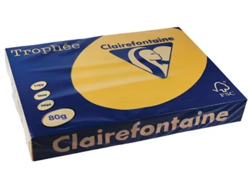 Trophée Pastel gekleurd papier A3 80 gram 500 vel goudgeel