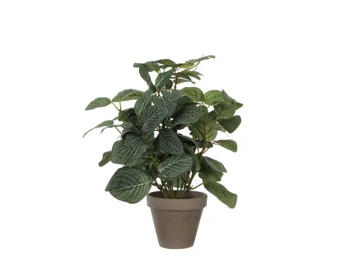 Kunstplant Mica Pilea in pot Ø11,5cm 35x25cm