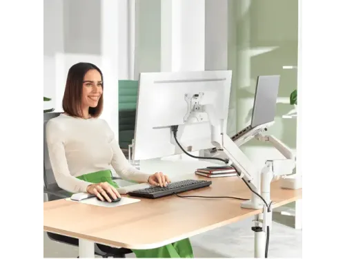 Monitor en laptoparm 2 Schermen Leitz Ergo grijs