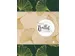 Mon Bullet Journal Ginkgo Biloba dots 240 pages
