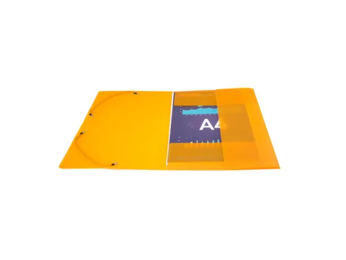 Exacompta Elastomap Linicolor PP A4 Assorti