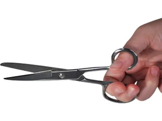 Schaar 18 Cm, Verchroomd, Asymmetrische Ogen