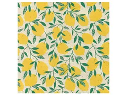 Apparaatrol Little Lemon 30cmx200m