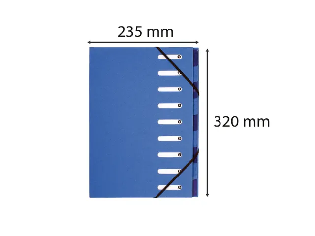 Sorteermap FOREVER 9 vak lichtblauw