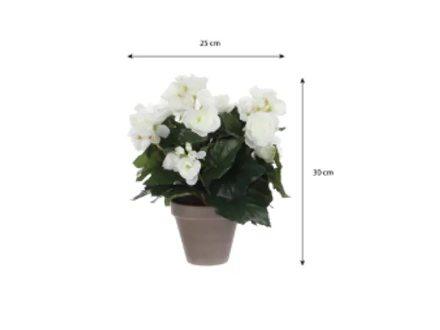 Kunstplant Mica Begonia wit in pot Stan grijs 25x30cm