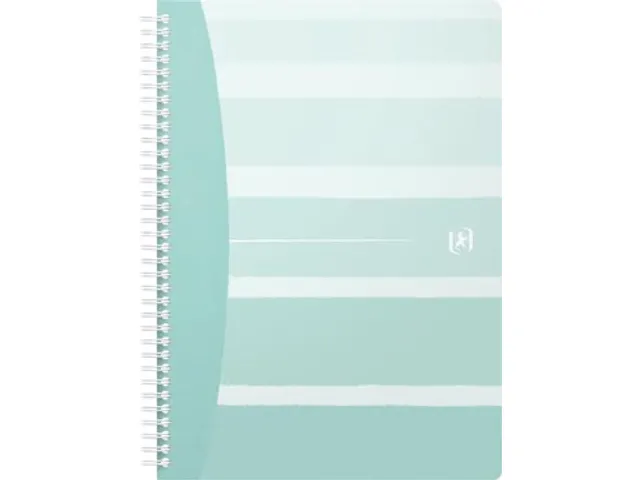 Iconics spiraalschrift B5 assorti