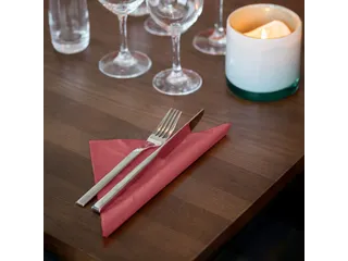 Tissue Servet 39x39cm 2-Laags 1/4 Vouw Burgundy 12x150st - 4