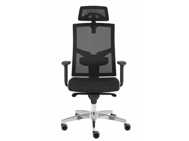 Chaise de bureau Premium Dossier maille Noir