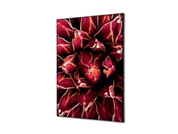 Wanddecoratie Textiel Set A2 Cactus Rood