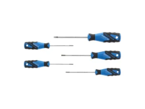 GEDORE 2163 TX-05 3C schroevendraaierset 5-delig TX T10-T30
