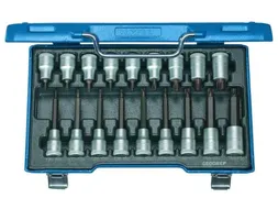 GEDORE ITX 19 LKP Schroevendraaierset 1/2 inch 18-delig TX T20-60