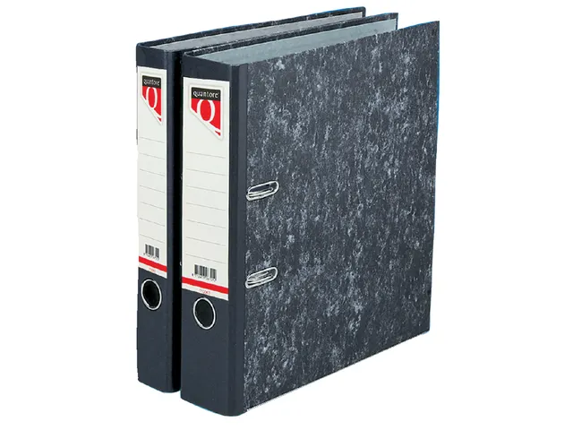 Ordner Quantore A4 50mm Karton Gewolkt Voordeelbundel