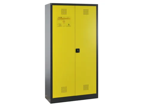 Gif-/Chemicaliënkast,V. Irriterende/Giftige Stoffen