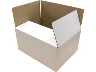 Verzenddoos Raadhuis 560x540x100mm EB-golf wit - 2