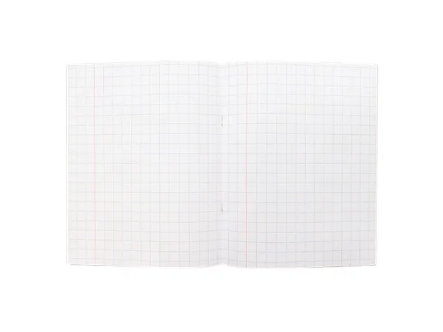 Schrift Kangaro A5 ruit 10mm 80pagina's 60gram 10 stuks assorti