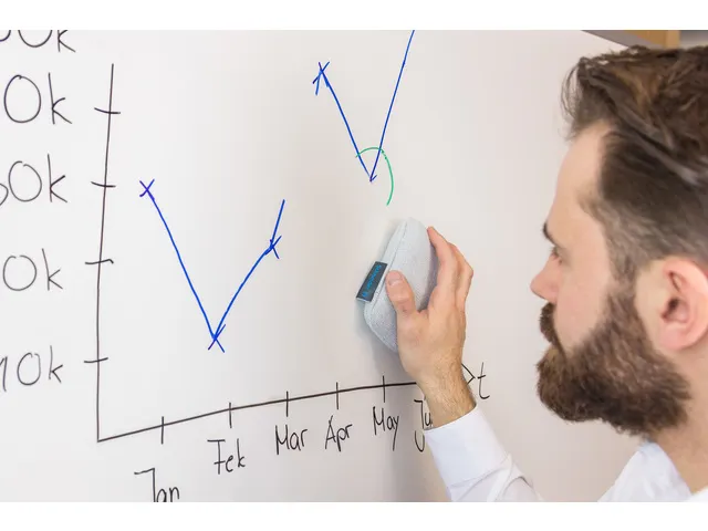 Whiteboardwisser (spons) Schneider 296 lichtgrijs