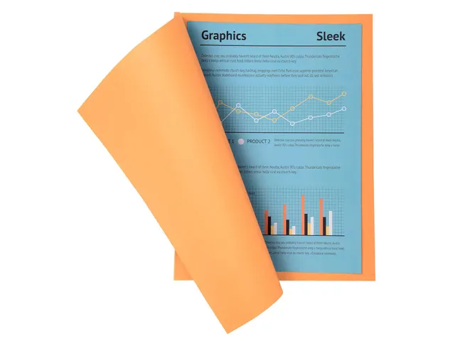 100 dossiermappen SUPER 250 - 24x32cm-Gems