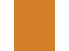 Etalagekarton Folia 48x68 cm 400gr Nr 915 lichtoranje