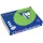 Trophée Intens Gekleurd Papier A4 120 gram 250vel Grasgroen